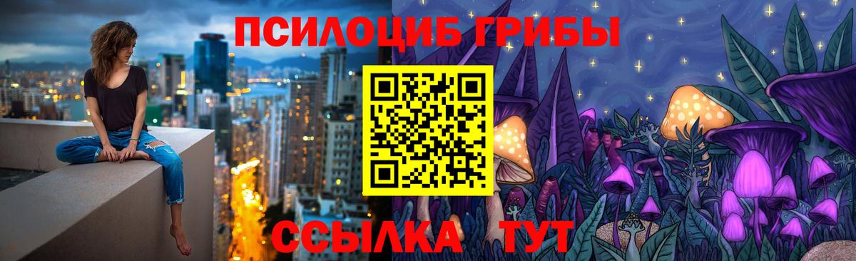 Псилоцибиновые грибы Cubensis  Жигулёвск 